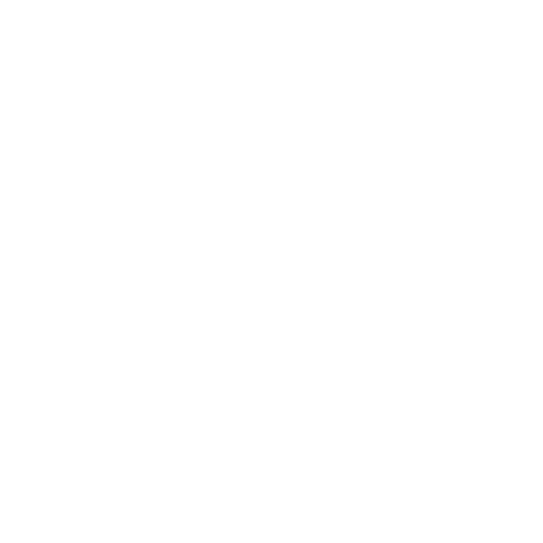 DronuInspekcija.lv logo