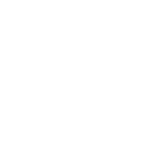 DronuKadri.Lv logo